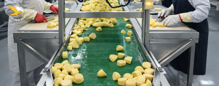 金翔根莖類前處理加工