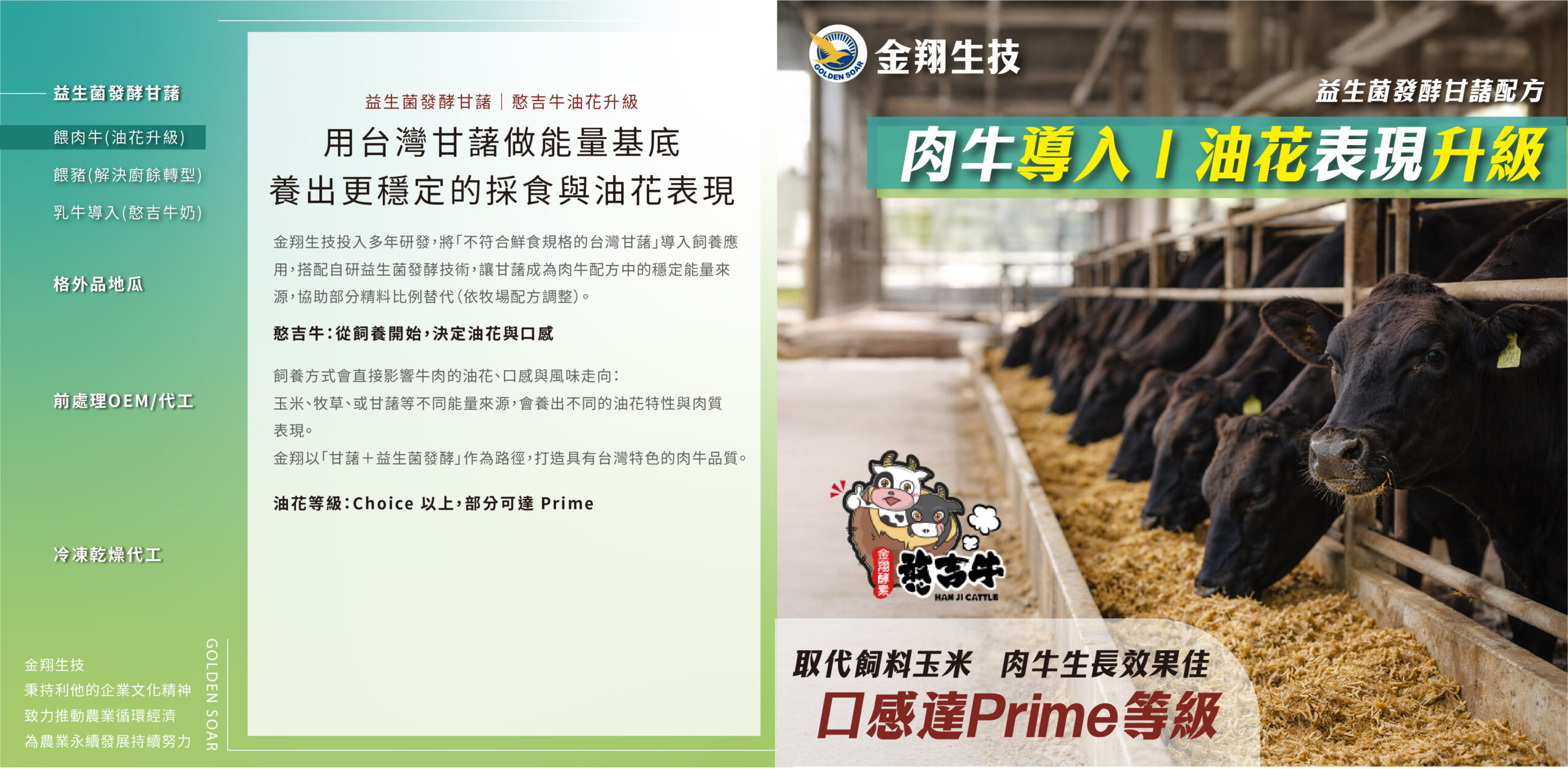 益生菌發酵甘藷配方－肉牛導入案例。以台灣甘藷作為穩定能量基底，協助提升採食穩定性與油花表現（依牧場配方調整）。適用肉牛飼養、日糧配方設計與在地原料替代應用。