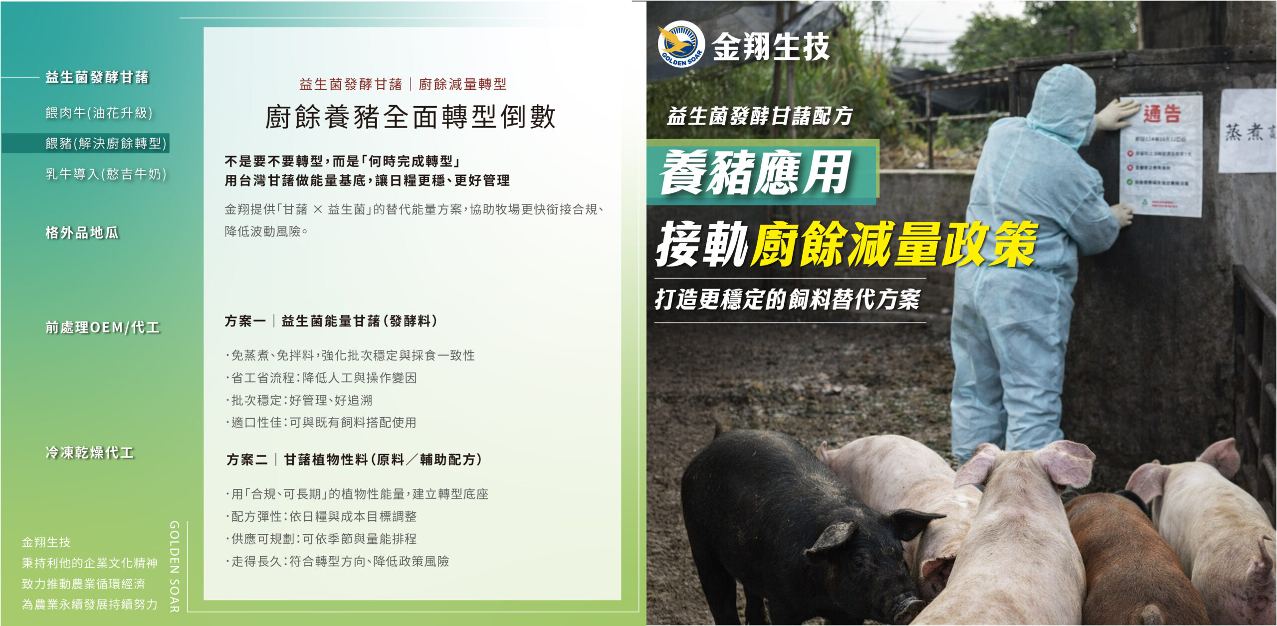 益生菌發酵甘藷配方－養豬應用。以台灣甘藷作為穩定能量基底，提供可替代的飼料方案，協助牧場接軌廚餘減量政策與轉型需求，降低日糧波動、提升管理一致性（依場端配方調整）。