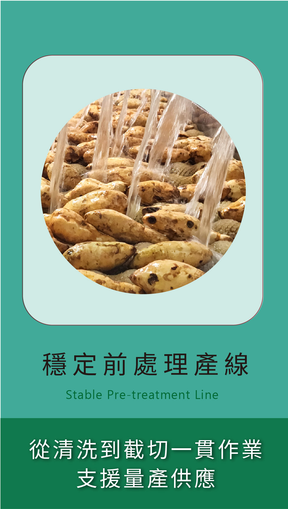 穩定前處理產線